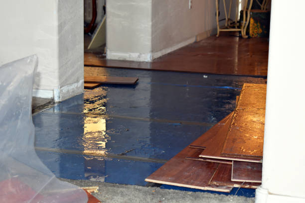 Professional Water Damage Repair technician working in Burton, OH